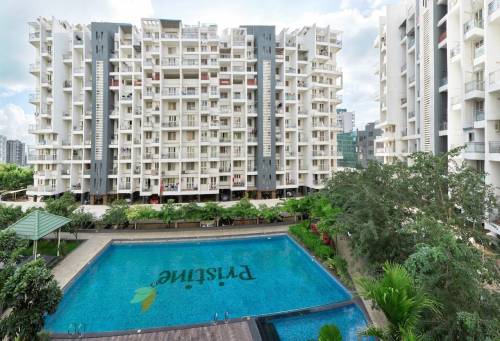  prolife-ii Elevation