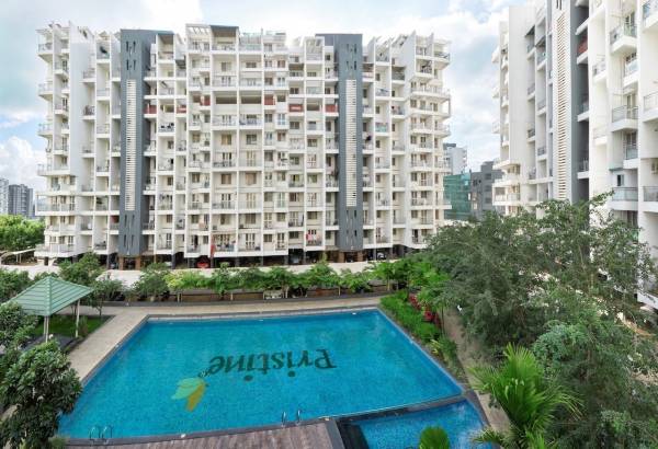 Elevation prolife-ii Elevation