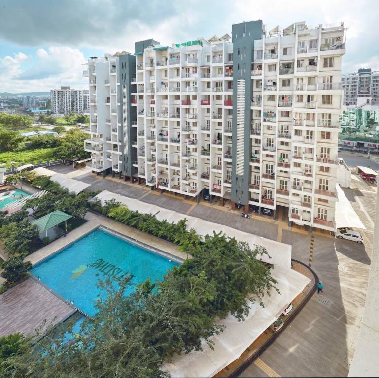  prolife ii Elevation