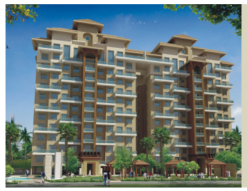 silver-leaf Elevation Elevation