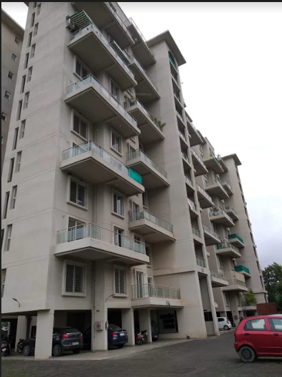  silver leaf Elevation