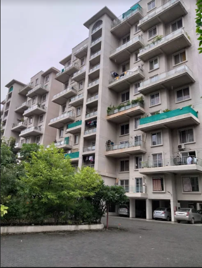  silver leaf Elevation