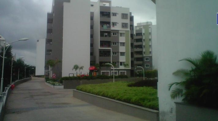  bren luxuria Elevation