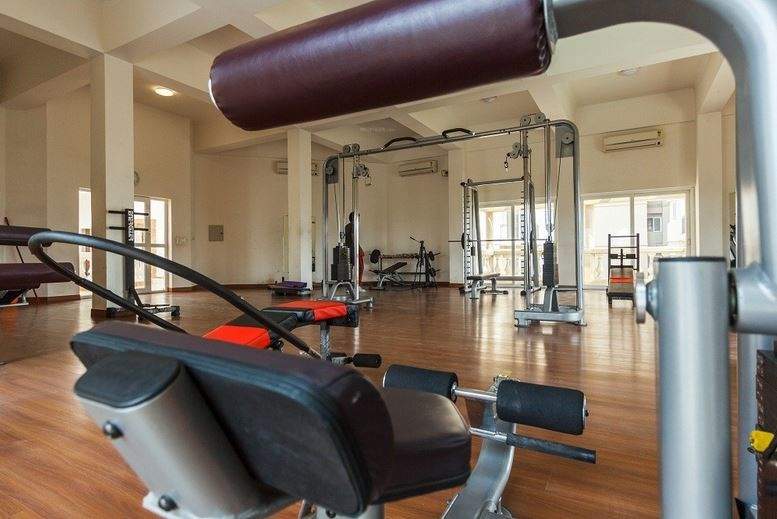  golf meadows v Gymnasium