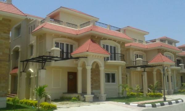 main of Suchirindia Suchir Timberleaf