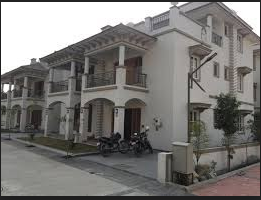  white-plains Elevation