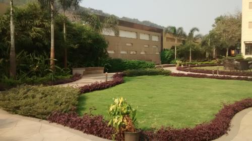  hill-crest Landscape Garden and Tree Planting