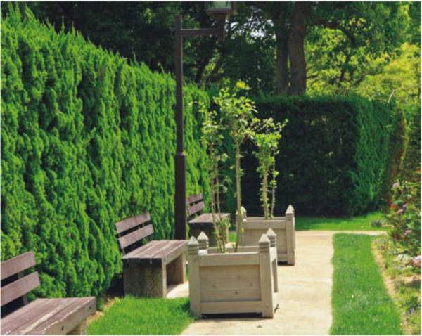 Images for Amenities of Pinkcity Orient Residency