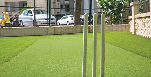  grande Cricket Pitch