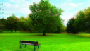  carmel Landscaped Gardens