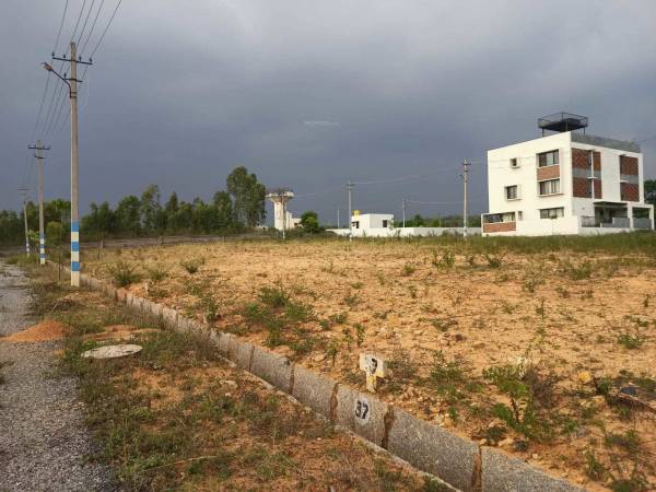  lake-vista Elevation