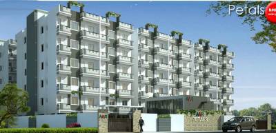  amr-petals Elevation