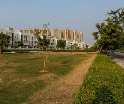  vatika-independent-floors Landscape Garden and Tree Planting