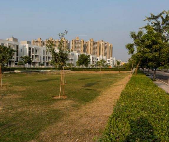  vatika independent floors Landscape Garden and Tree Planting