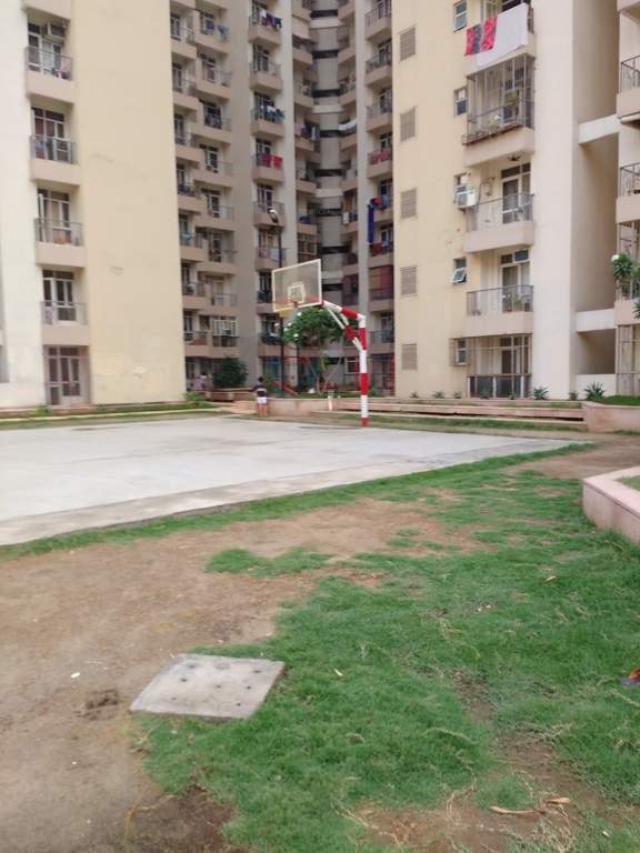 prateek laurel Basketball Court