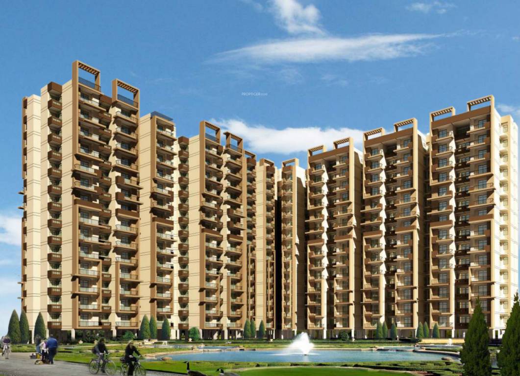  scc sapphire Elevation