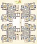  tulip-and-carnation- Cluster Plan