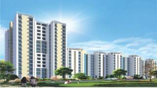 Project Image Project Image