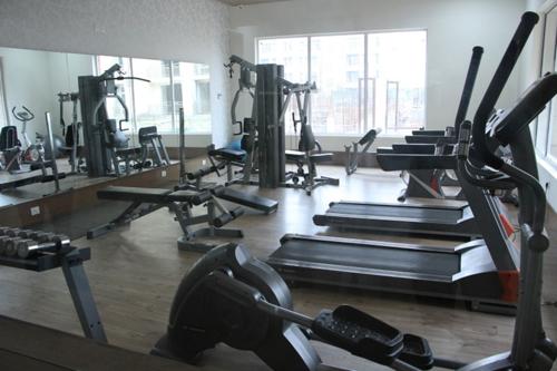 Gymnasium tulip-and-carnation- Gymnasium