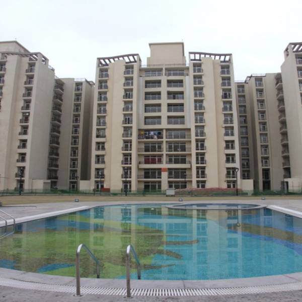 Swimming Pool tulip-and-carnation- Swimming Pool