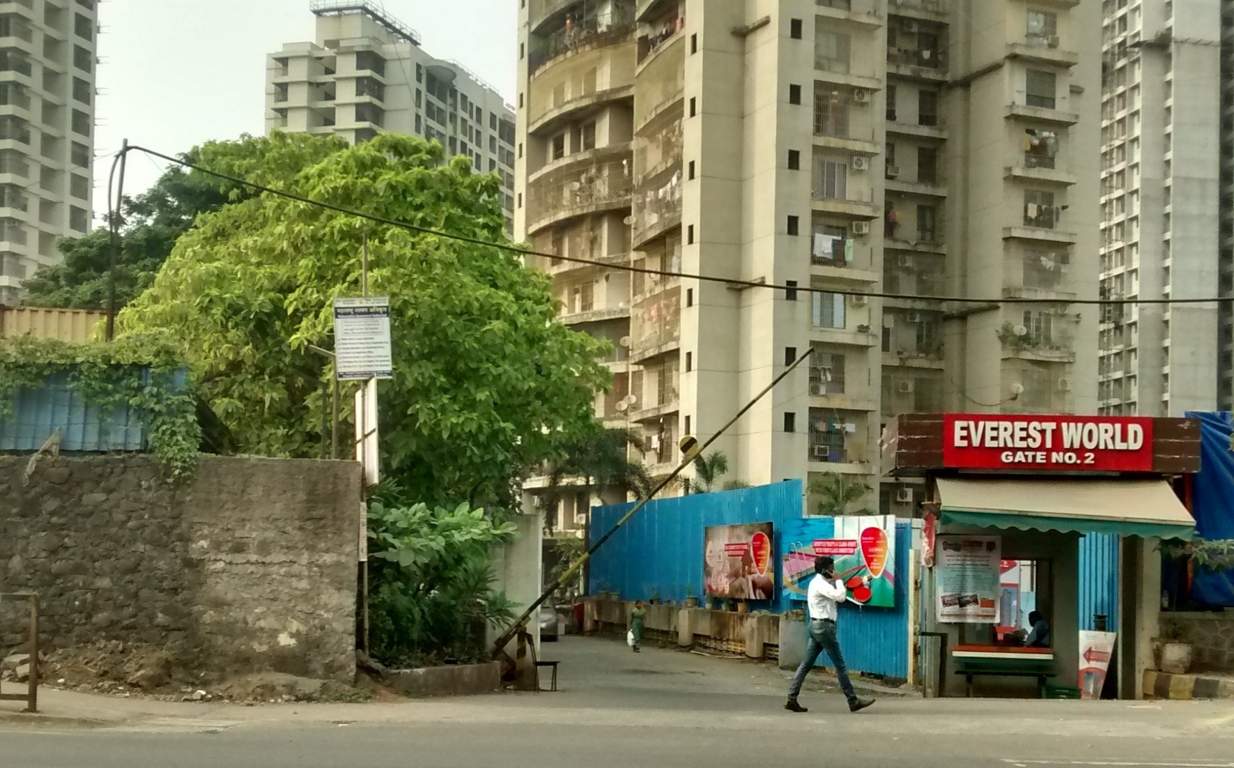  everest world Others