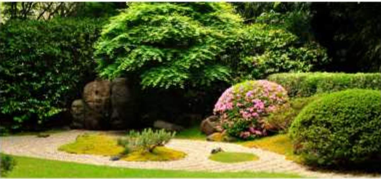  highland city Landscaped Gardens