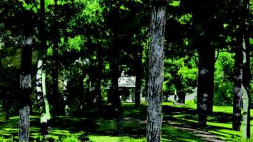  casa-univis Landscape Garden and Tree Planting