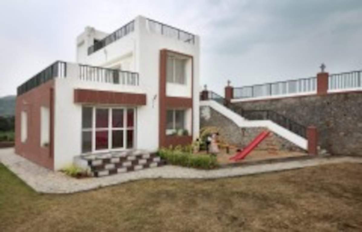  pristine palms Others