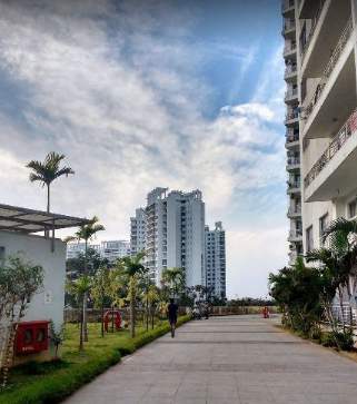  elita promenade Others