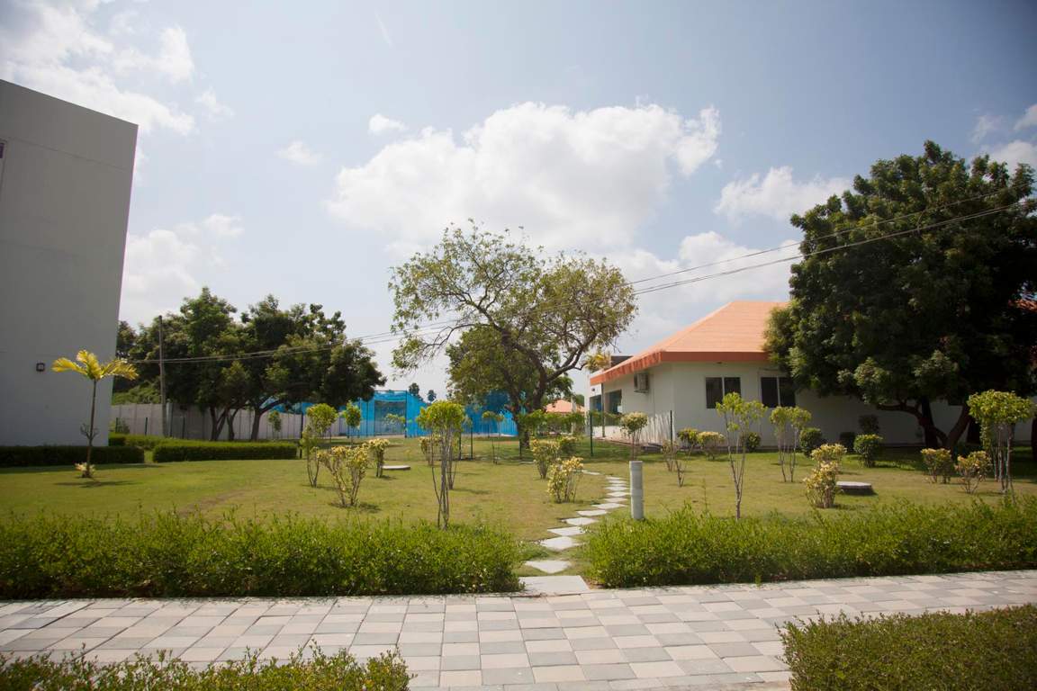 Images for Amenities of Phoenix The Village