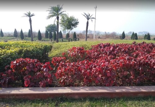  lake-grove-city Others