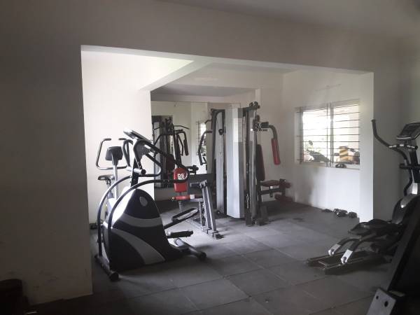  ds-max-savvy Gymnasium