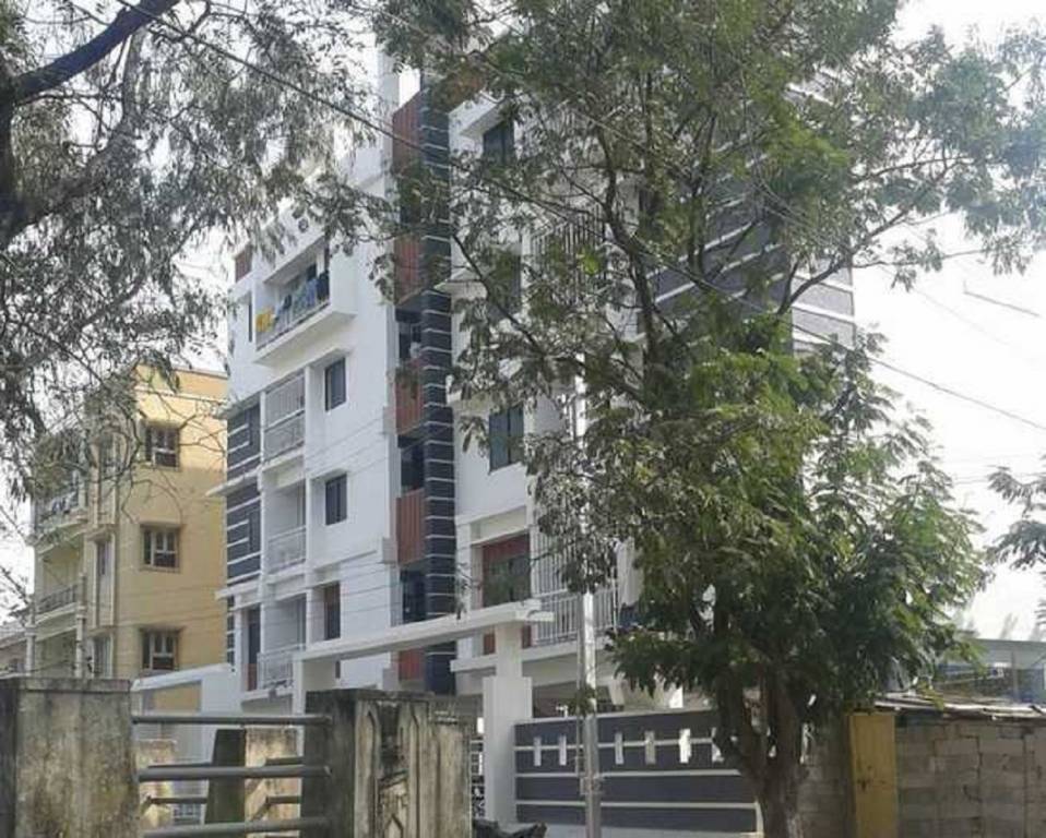  wind flower Elevation