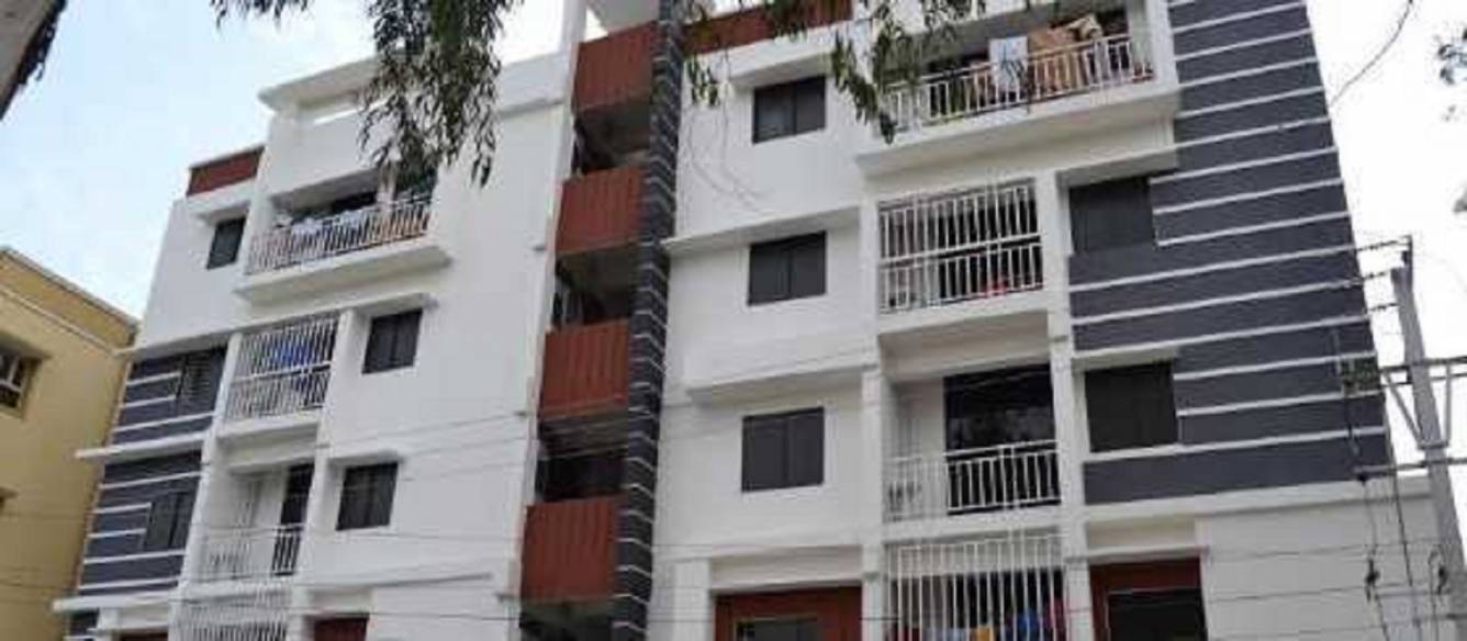  wind flower Elevation