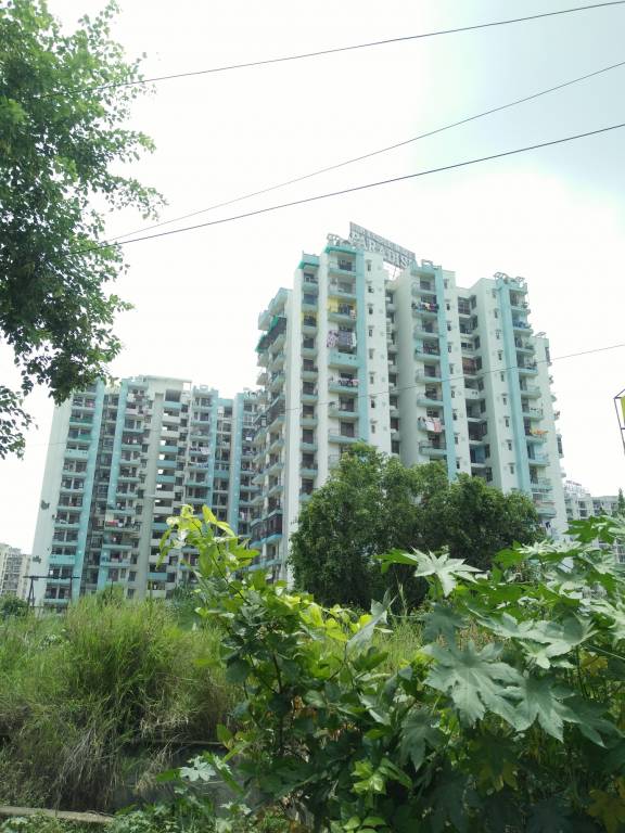  highend paradise i Elevation