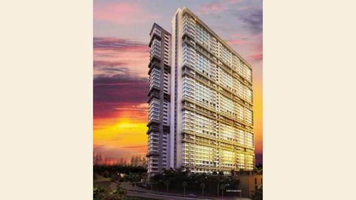 platino Elevation Elevation