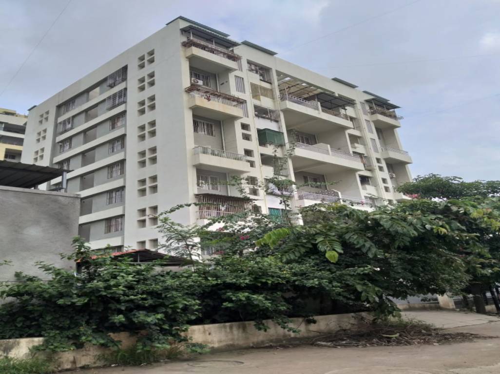  pacific phase 3 Elevation