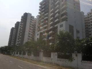 Project Image Project Image