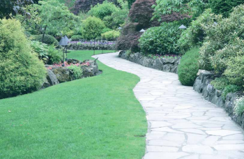  anmol-fortune- Others