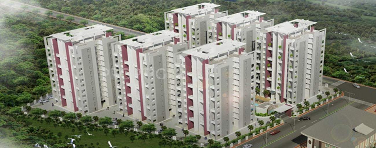 renaissant Images for Elevation of Alcon Renaissant