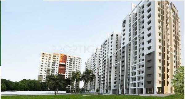 Images for Elevation of Purti Flowers