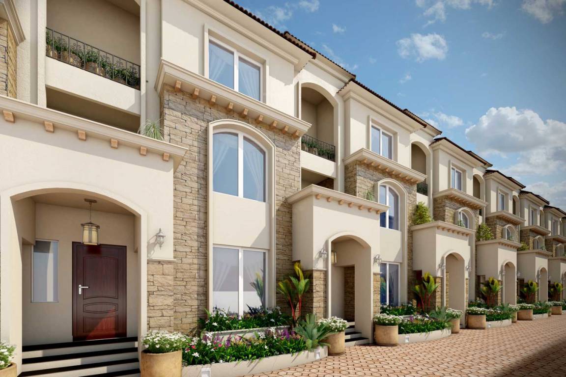 Images for Elevation of Saiven The Hamptons