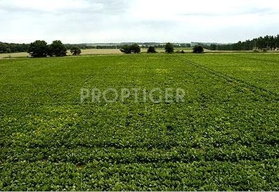 Jansons Investments Downtown Park