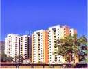 Dhaval Hills