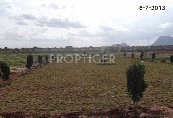 Images for Construction Status of Excel The Preserve