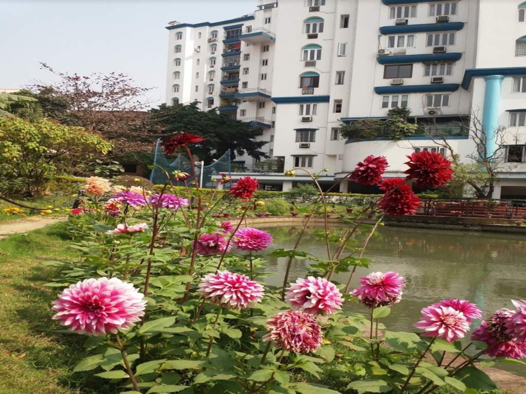  golf tower Elevation