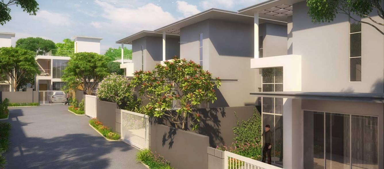 Images for Elevation of Eden Monaco