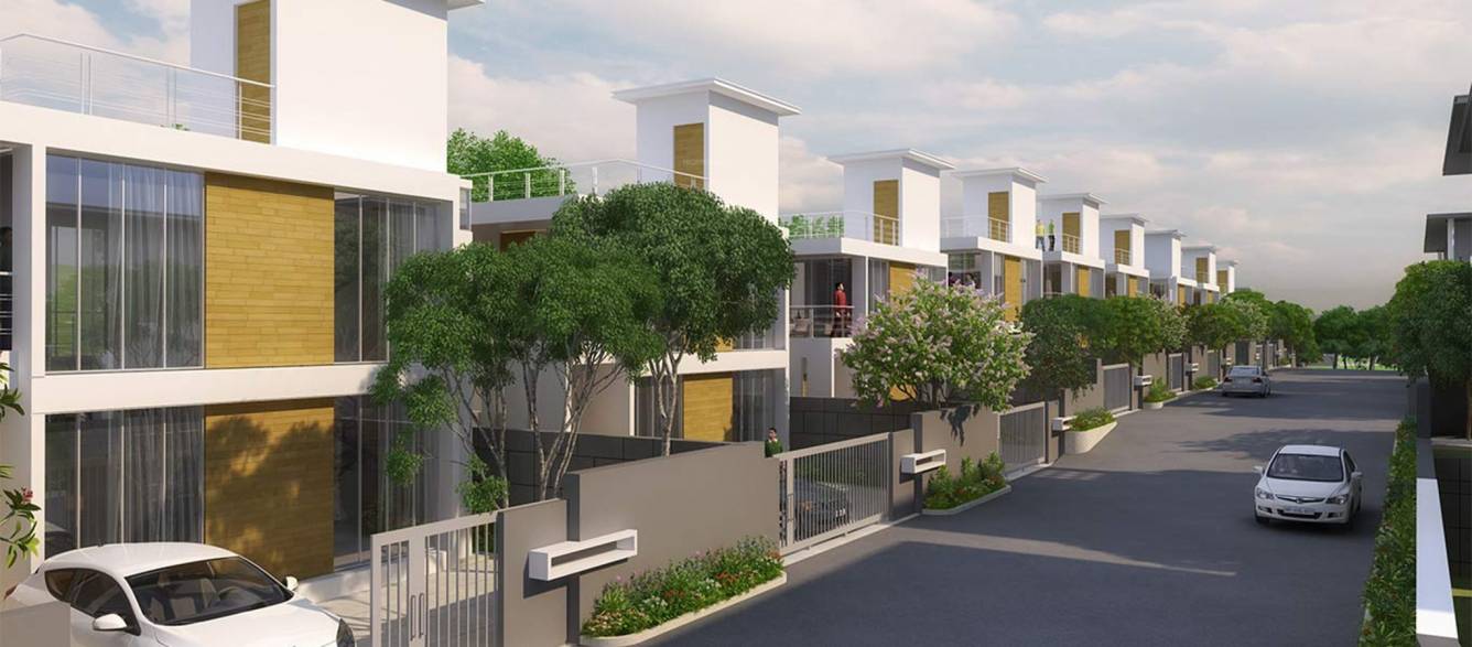 Images for Elevation of Eden Monaco