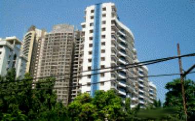 Images for Elevation of Benchmark Group Silver Leaf CHS Images for Elevation of Benchmark Group Silver Leaf CHS