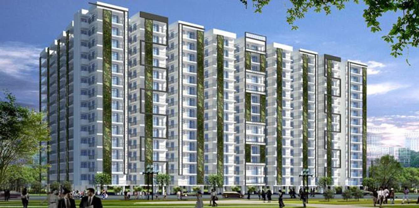 planet one Images for Elevation of Andromida Planet One